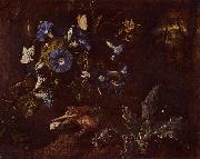 SCHRIECK, Otto Marseus van Blaue Winde Kroe und Insekten Spain oil painting artist